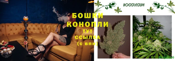 МДМА Медвежьегорск