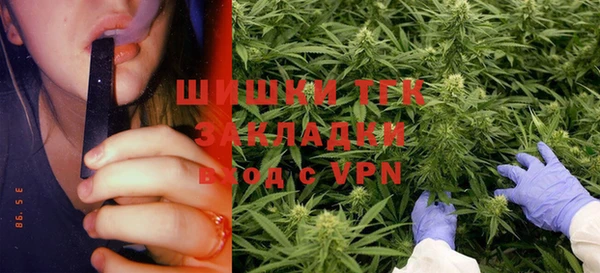 тгк Магас