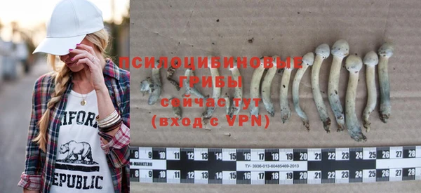 тгк Магас