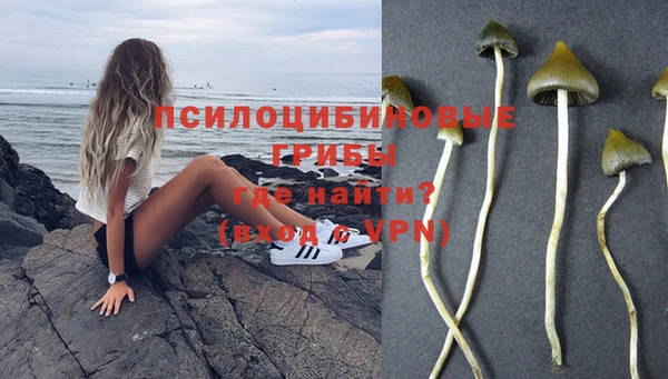 МДМА Медвежьегорск