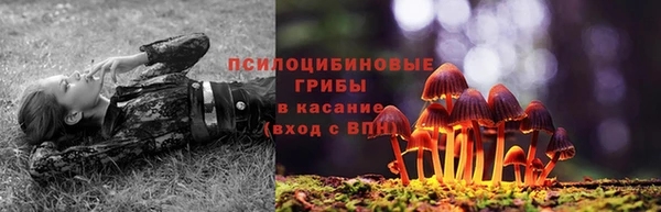 mdpv Мегион
