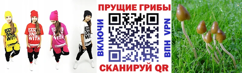 Купить  Сочи  Галлюциногенные грибы мухоморы 